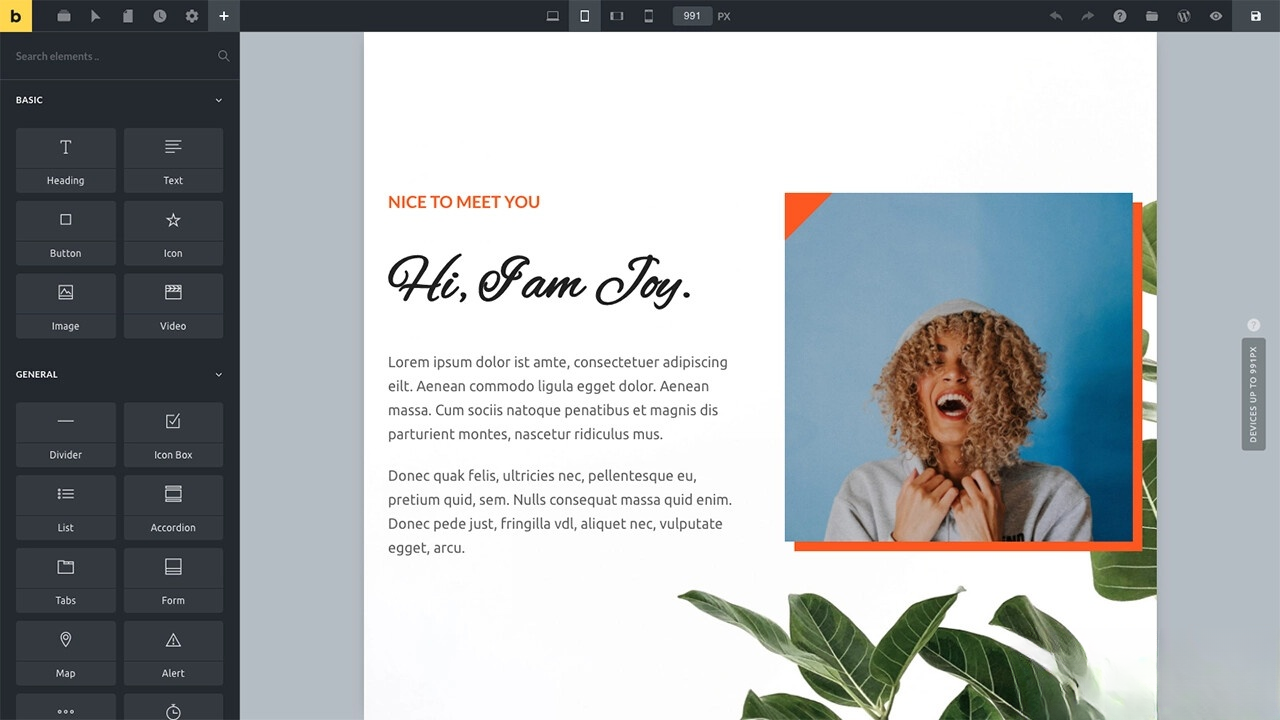 WordPress主题Bricks v1.9 破解版 - 91资源站-91资源站