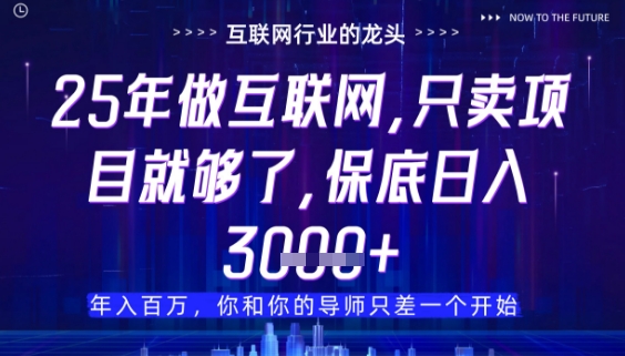 什么!25年你还在找项目做?风口早就变了,卖项目才是稳挣不赔【揭秘】-91资源站