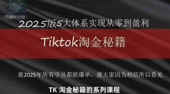 TikTok跨境2025淘金秘籍,2025TikTok从0到盈利变现-91资源站