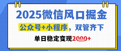 2025微信风口掘金，公众号+小程序双管齐下，单日稳定变现1k+【揭秘】-91资源站