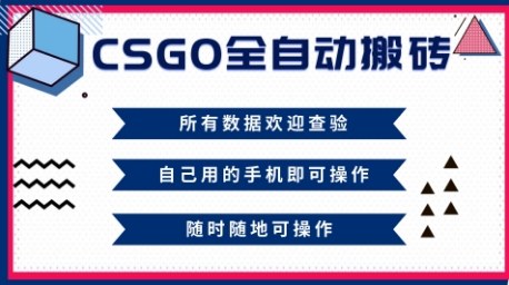 CSGO全自动搬砖，年底钱回家好项目，当天可拿到结果，新手小白轻松月入1W+【揭秘】 - 91资源站-91资源站
