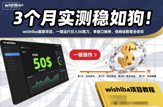 3个月实测稳如狗！wishlba最新项目，一键运行日入50美刀，单窗口躺挣，保姆级教程全给你【揭秘】 - 91资源站-91资源站
