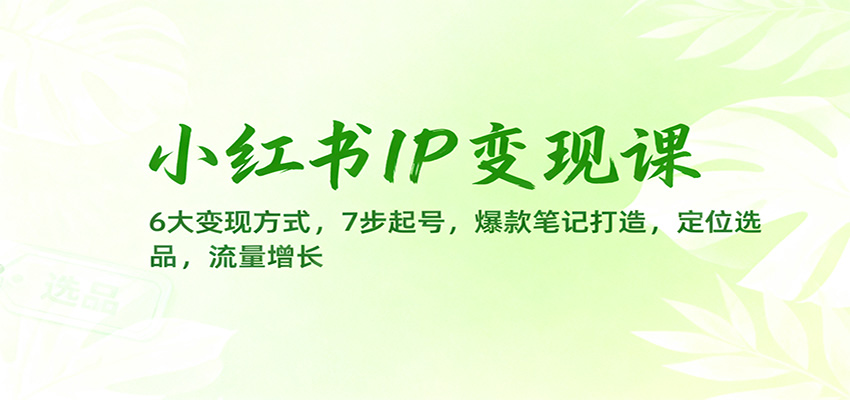 小红书IP变现课:6大变现方式,7步起号,爆款笔记打造,定位选品,流量增长 - 91资源站-91资源站