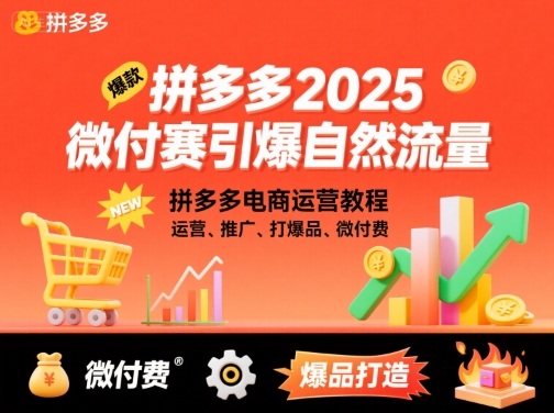 拼多多2025微付费引爆自然流量，拼多多电商运营教程，运营、推广、打爆品、微付费(更新) - 91资源站-91资源站