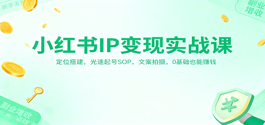 小红书IP变现实战课:定位搭建,光速起号SOP,文案拍摄,0基础也能赚钱 - 91资源站-91资源站
