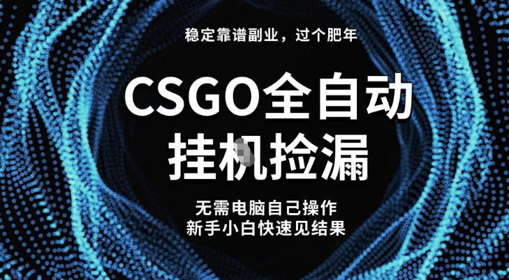 【稳定副业】全球最热门游戏CSGO全自动捡漏，最新玩法，新手小白日入5张+【揭秘】-91资源站