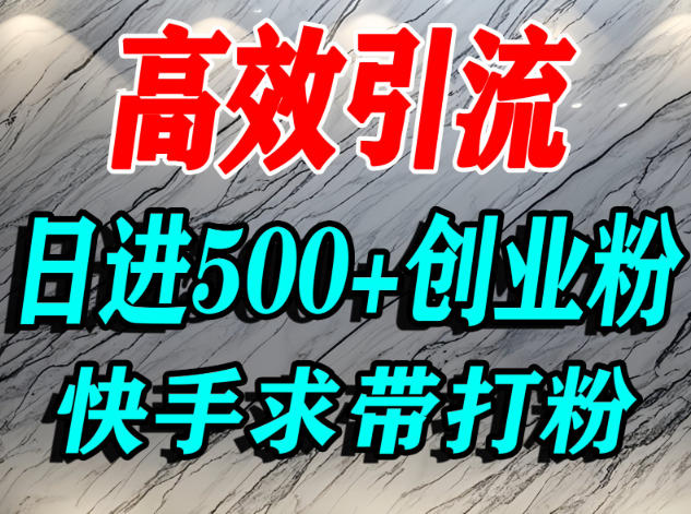 怎么打创业粉?快手求带视角精准引流创业粉,宝妈、学生群体日进500+精准流量 - 91资源站-91资源站