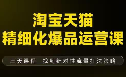 猫课子幽·淘宝天猫精细化爆品运营【音频+字幕+文档】(9月12-14杭州线下课)-91资源站