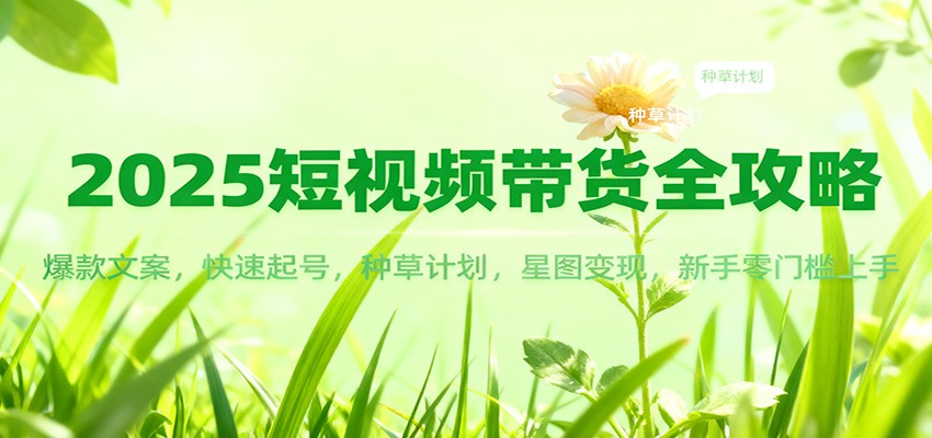 2025短视频带货全攻略：爆款文案，快速起号，种草计划，星图变现，新手零门槛上手-91资源站