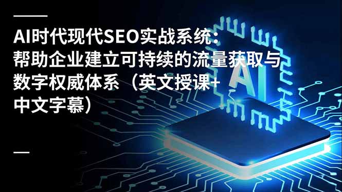 AI时代现代SEO实战系统:帮助企业建立可持续的流量获取与数字权威体系(英文授课+中文字幕-91资源站