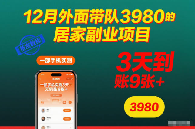 12月外面带队3980的居家副业项目,一部手机实测3天到账9张+,首发教程【揭秘】-91资源站