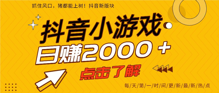 5年爆火的抖音小游戏项目,一部手机日入2000+-91资源站