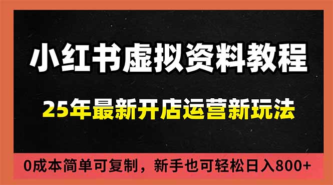 小红书虚拟资料项目:最新搜索流变现玩法,0成本简单可复制,一人多店打法,新手日入800+-91资源站