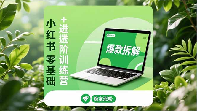 小红书零基础+高阶训练营:安全养号、爆款拆解、长效运营,实现稳定涨粉与变现-91资源站
