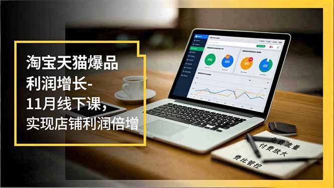 淘宝天猫爆品利润增长-11月线下课,免费流量、付费放大、费比管控,实现店铺利润倍增-91资源站