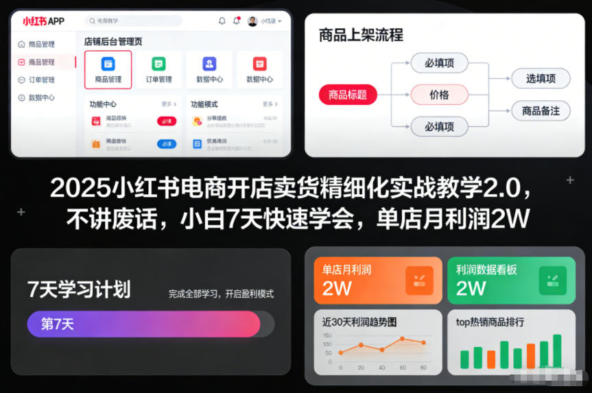 2025小红书电商开店卖货精细化实战教学2.0,不讲废话,小白7天快速学会,单店月利润2W-91资源站