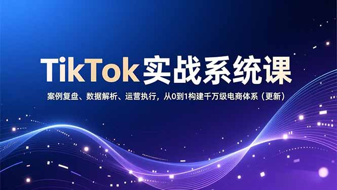 TikTok实战系统课，案例复盘、数据解析、运营执行，从0到1构建千万级电商体系(更新 - 91资源站-91资源站