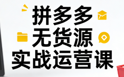 子枫老师·拼多多无货源实战运营课(更新12月) - 91资源站-91资源站