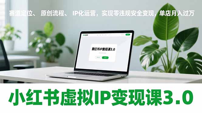 小红书虚拟IP变现课3.0，赛道定位、原创流程、IP化运营，实现零违规安全变现，单店月入过万 - 91资源站-91资源站
