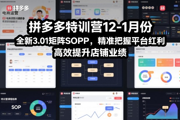 拼多多特训营12-1月份，全新3.01矩阵Sop，精准把握平台红利，高效提升店铺业绩 - 91资源站-91资源站