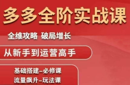 大炮·拼多多全阶实战课程(更新2026)-91资源站