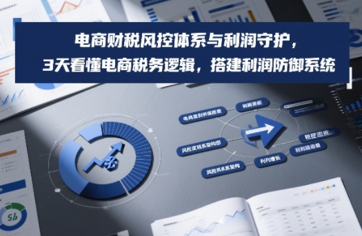 电商财税风控体系与利润守护，3天看懂电商税务逻辑，搭建利润防御系统 - 91资源站-91资源站