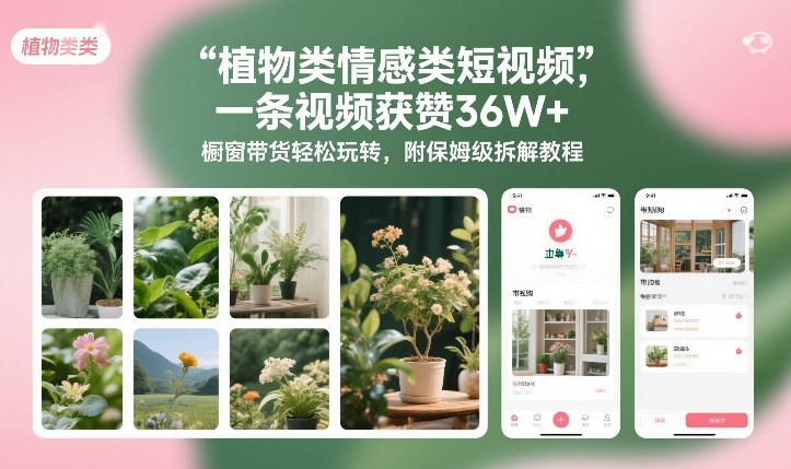 植物类情感类短视频，一条视频获赞36W+，橱窗带货轻松玩转，附保姆级拆解教程 - 91资源站-91资源站