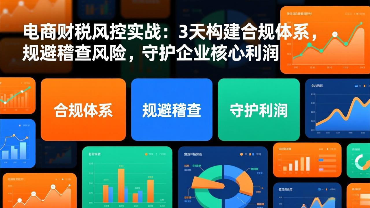 电商财税风控实战：3天构建合规体系，规避稽查风险，守护企业核心利润 - 91资源站-91资源站