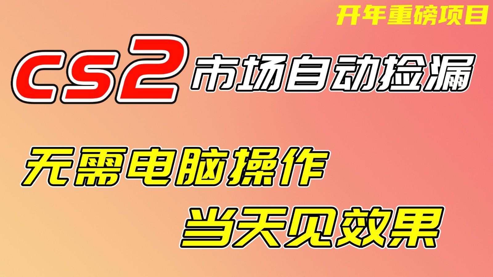 CS2市场挂机项，无需电脑操作，无需进入游戏，当天见效果，支持任何形式验证-91资源站