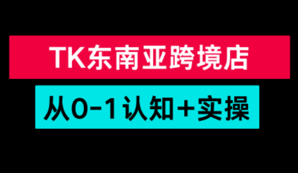 TikTok东南亚跨境从0-1认知实操课-91资源站