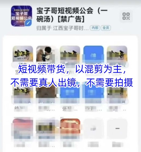 宝子哥头部团队短视频带货，以混剪为主，不需要真人出镜，不需要拍摄【更新26年1月】-91资源站