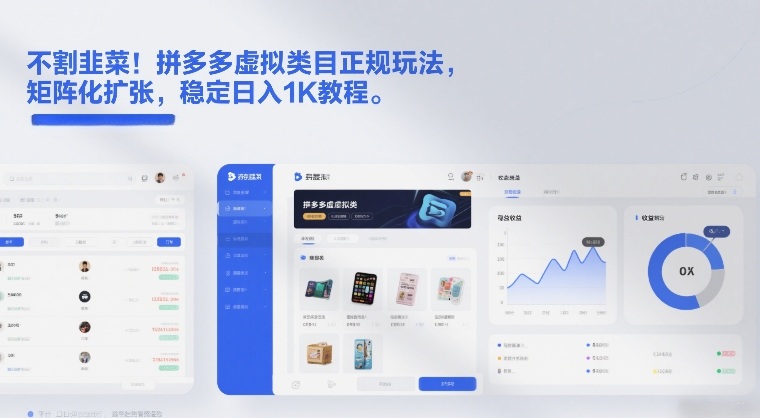 不割韭菜！拼多多虚拟类目正规玩法，矩阵化扩张，稳定日入1K教程【揭秘】 - 91资源站-91资源站