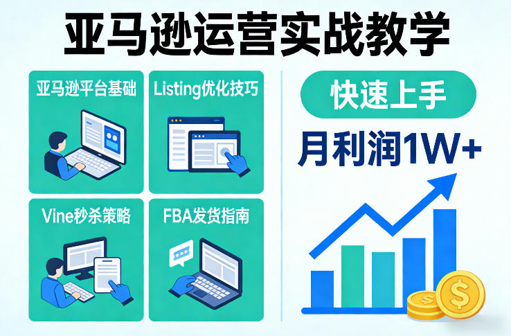 亚马逊运营实战教学，亚马逊平台+Listing优化+Vine秒杀+FBA发货等，快速上手，实现店铺月利润1W - 91资源站-91资源站