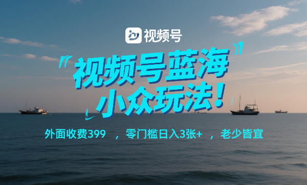 视频号蓝海小众玩法！外面收费399，零门槛日入3张+，老少皆宜 - 91资源站-91资源站