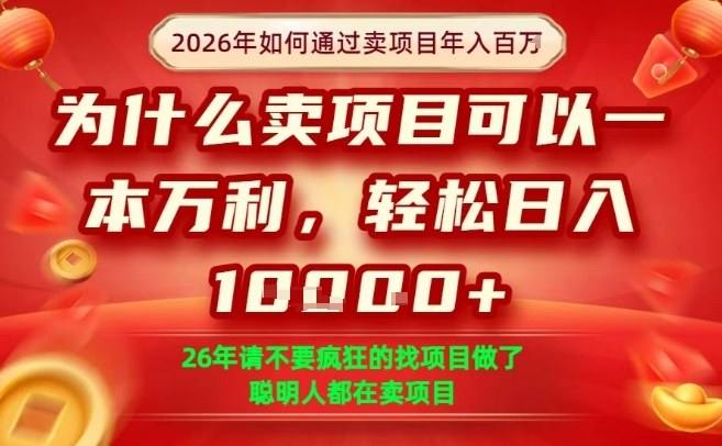 一单净利润1K+，26年想年入100个W，死磕卖项目就够了【揭秘】 - 91资源站-91资源站