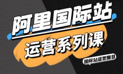 醒目老师·阿里国际站运营系列课(更新3月) - 91资源站-91资源站