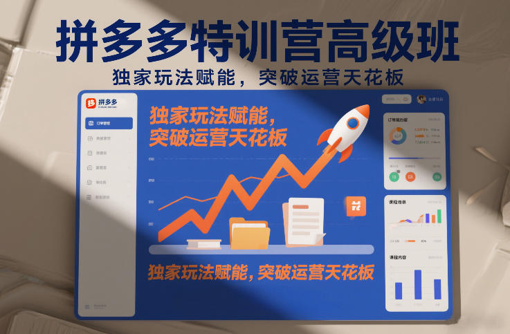 拼多多特训营高阶班,独家玩法赋能,突破运营天花板(更新26年3月13日)-91资源站