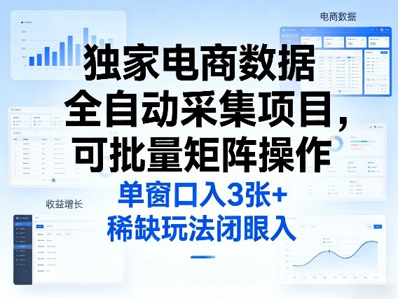 独家电商数据全自动采集项目，可批量矩阵操作，单窗口日入3张+，稀缺玩法闭眼入【揭秘】 - 91资源站-91资源站