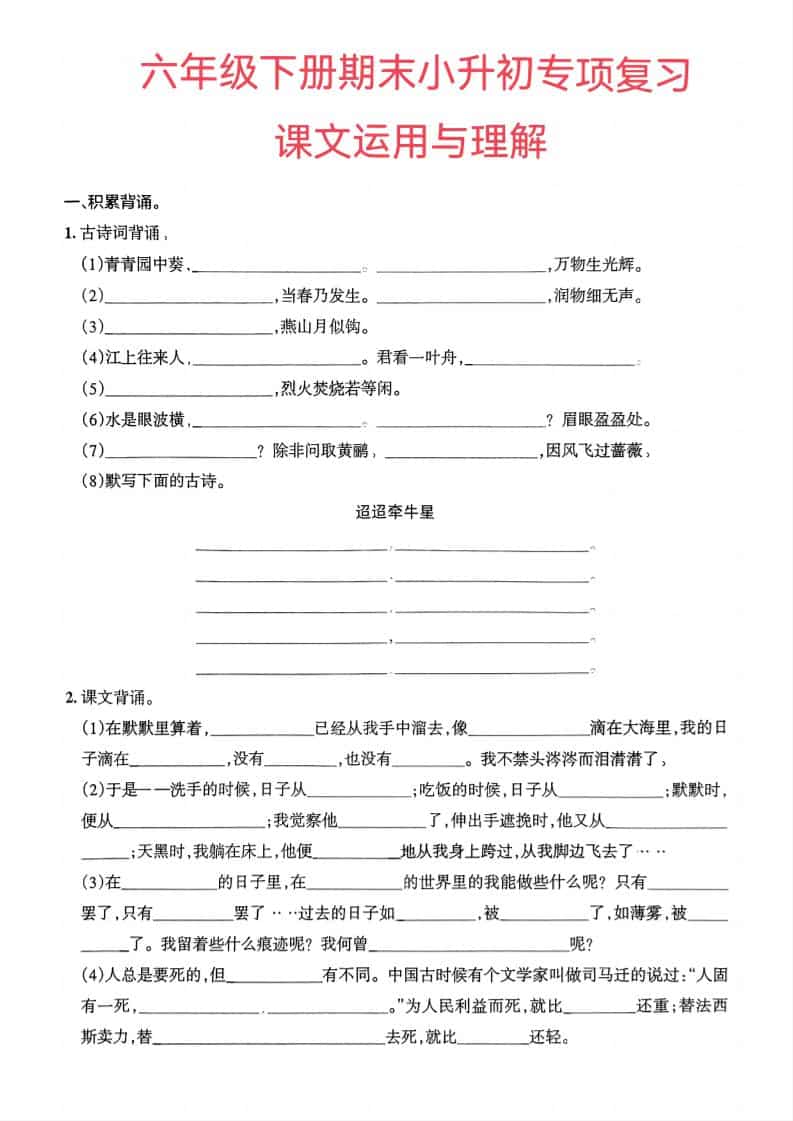 六年级下语文小升初课文运用与理解专项练习 - 91资源站-91资源站