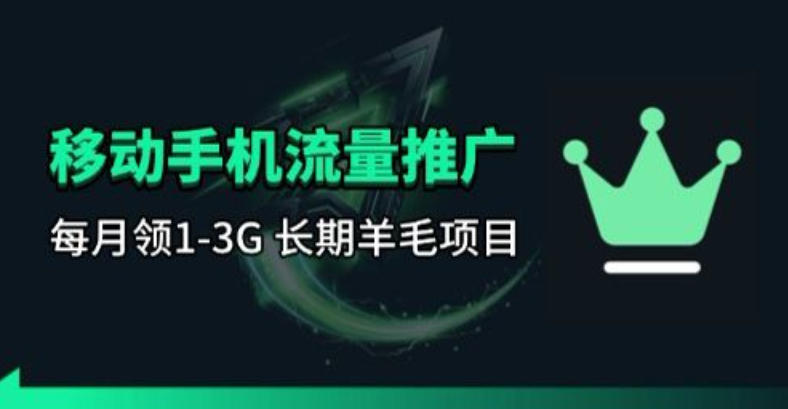 手机流量领取推广_每月一轮，刚需类的长期项目-91资源站