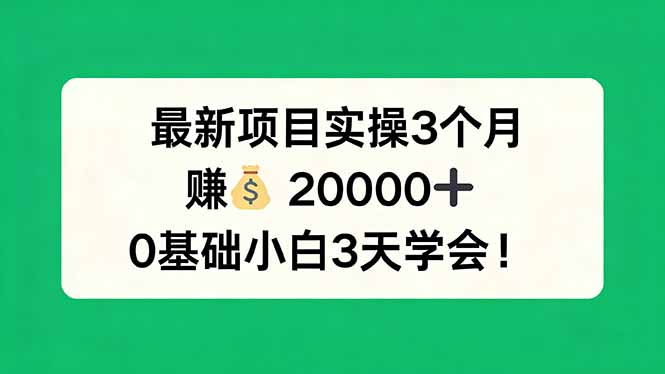 最新项目实操3个月，赚钱20000+，0基础小白3天学会！-91资源站