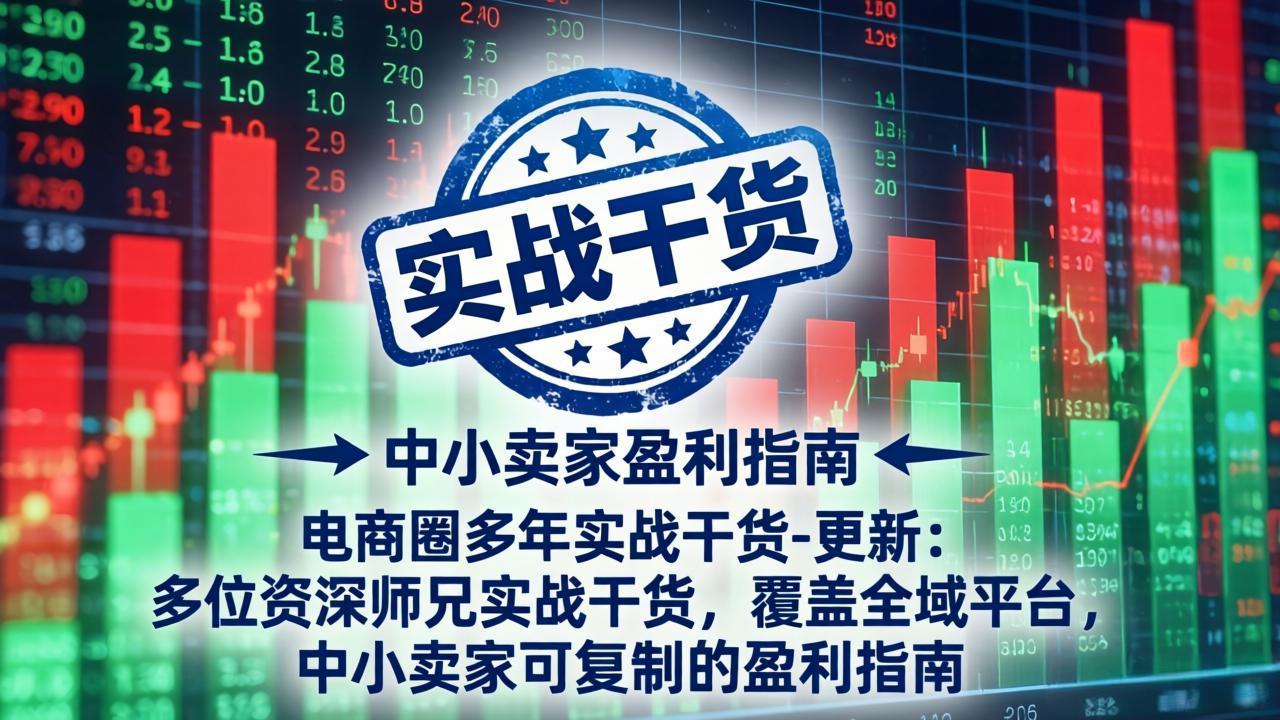 电商圈多年实战干货-更新4月：多位资深师兄实战干货，覆盖全域平台，中小卖家可复制的盈利指南-91资源站