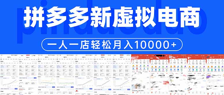 拼多多虚拟电商一人一店轻松月入10000+-91副业网