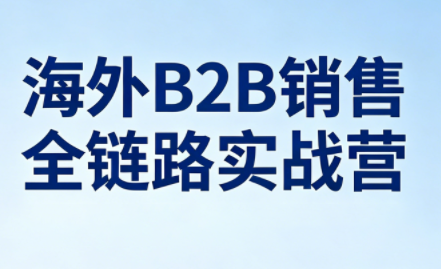 雨哥·海外B2B销售全链路实战营 - 91副业网-91副业网