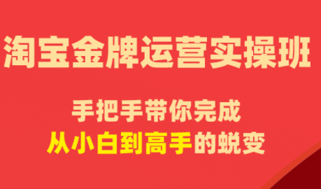 飓风电商·淘宝金牌运营实操班-91副业网