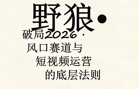 野狼团队·多平台实操运营课(更新4月)-91副业网
