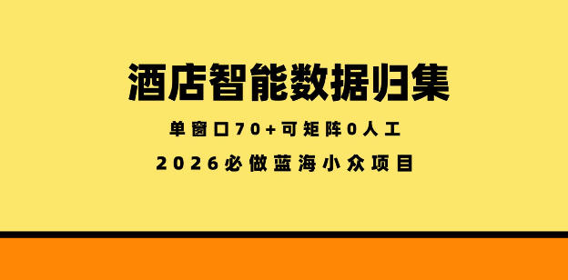 酒店智能数据归集，小众蓝海已经稳定半年之久，单窗口70+零成本矩阵开干【揭秘】 - 91副业网-91副业网