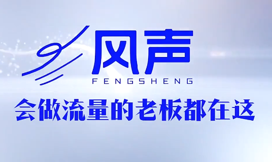 董十一·风声短视频AI获客年度会员-91副业网