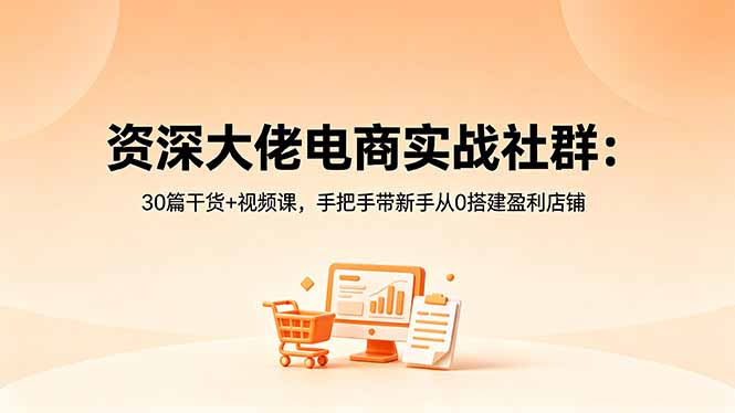 资深大佬电商实战社群：30篇干货+视频课，手把手带新手从0搭建盈利店铺 - 91副业网-91副业网