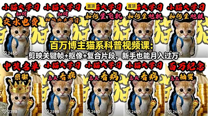 百万博主猫系科普视频课:剪映关键帧+抠像+复合片段,新手也能月入过万-91副业网